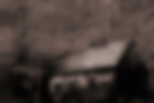 Перформанс Хижина в лесу