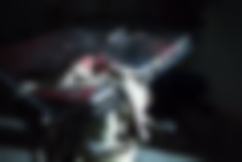 Перформанс Изолярий